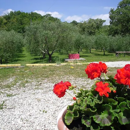 Il Gelsomino